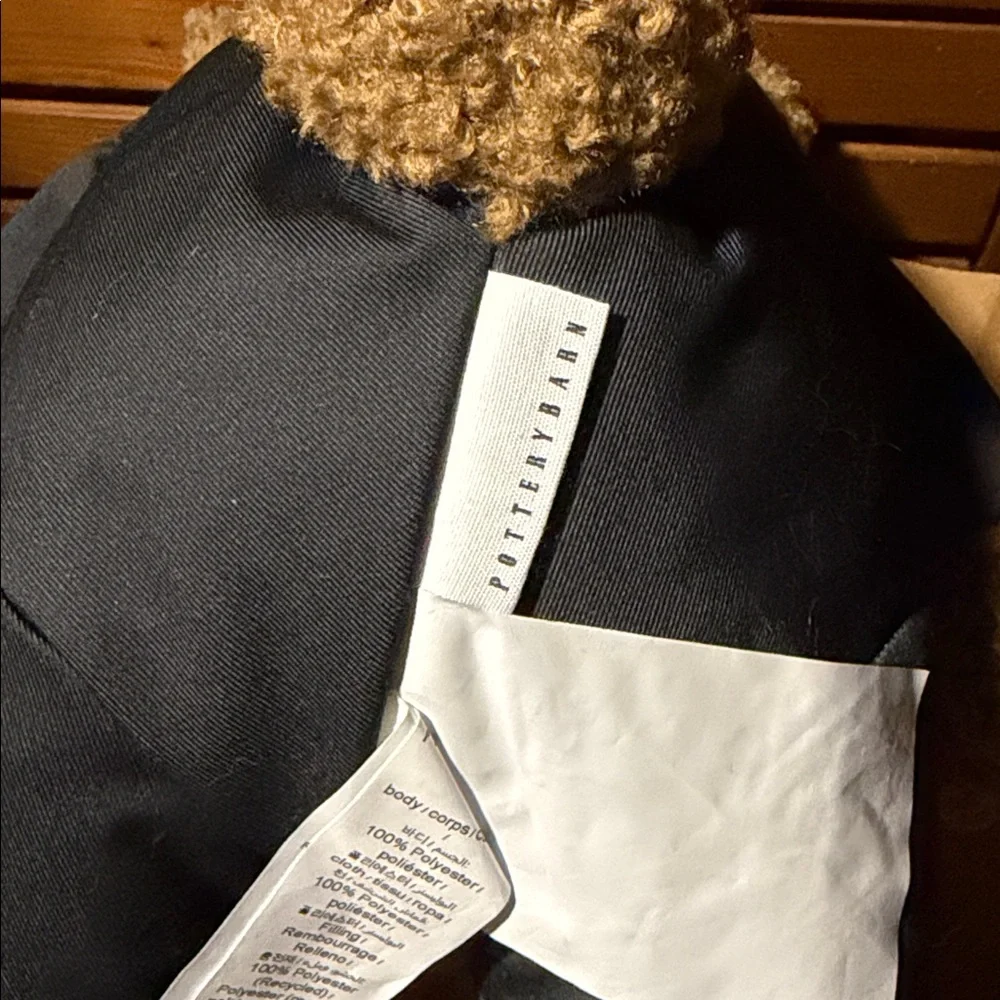 Pottery Barn Theo The Teddy Trick or Treating Pillow BN - Picture 7 of 7